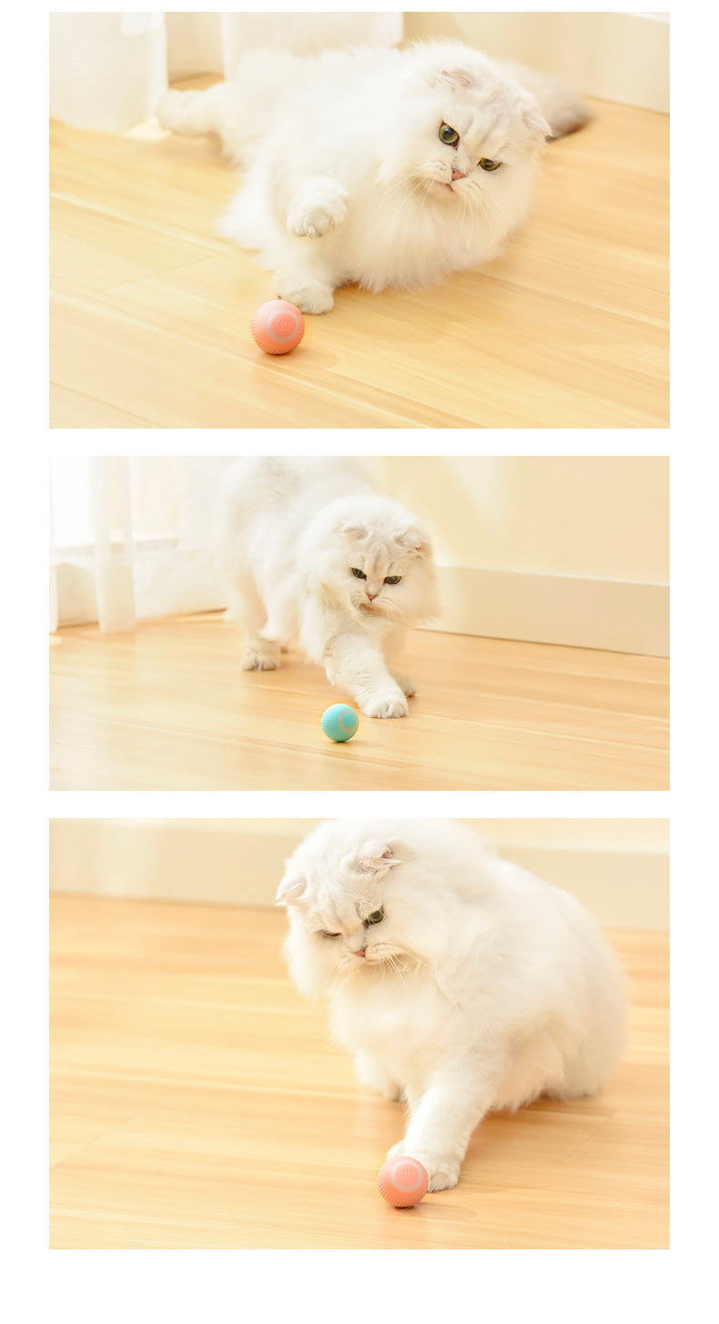 Smart Spinning Ball Pet Toy