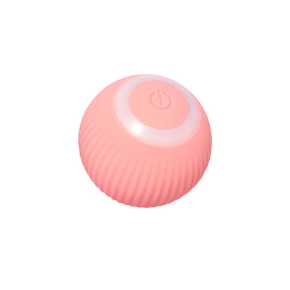 Smart Spinning Ball Pet Toy